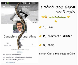 Facebook இல் பாம்பு ஓடுகிறதா?